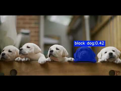 Mastering Segmentation & Masking Annotation – Boost Your Computer Vision Models | Wisepl