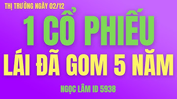 Nhận định thị trường chứng khoán hàng ngày | Phân tích vnindex , cơ hội mua cổ phiếu hôm nay