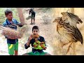 Primitive Technology: Hunting Catch and Cooking Wild Quail in the Hunter Cooking