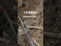 #S171有害駆除頭部にスラッグ弾