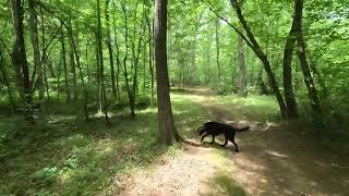 Riding with Rufus 5/30/26  #1011