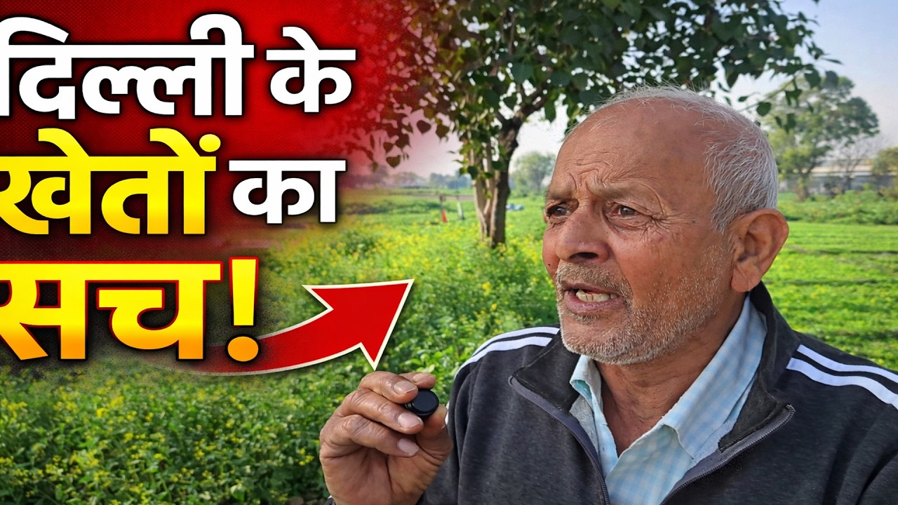 Farm Visit Vlog| दिल्ली के खेतों का सच! | Ground Report #farming #delhi 
