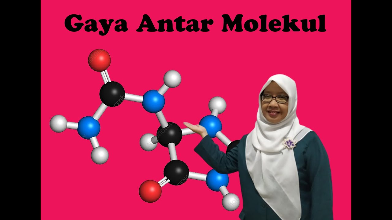 Gaya Antar Molekul (Ikatan Hidrogen) | Kimia SMA | Tetty Afianti