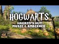 A Calm Summer Morning at Hagrid&#39;s Hut with Music playing in the Distance | 4K Harry Potter Ambience