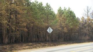 Origin Point Found for Flanders Fire Near Crosslake, Now 95% Contained | Lakeland News