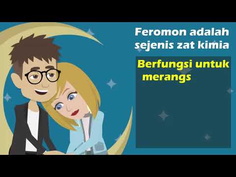 Video: Perbedaan Antara Hormon Dan Feromon