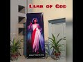 Lamb of god  lyrics infant jesus choir st patricks lectors group khi pakistan