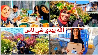 زدنا زوج سمانات🕊معلومات على الشجر لي تيعجبني🥰 وهدا رأي والرأي يحترم🤪