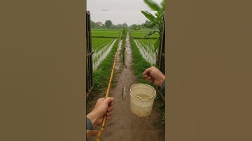 Đi câu cùng mình nào #chatgpt #ai #aivietnam