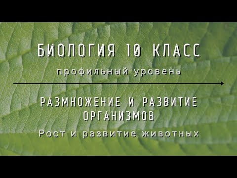 Биология 10 кл Проф уровень §43 Рост и развитие животных