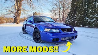 TRANSFORMING The Front End of My SVT Cobra with A Few CHEAP Aftermarket Parts!!