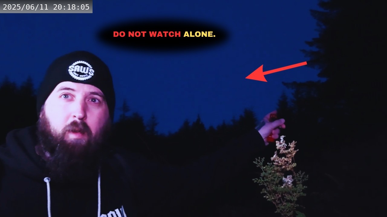 6 Most Disutrbing Forest Encounters Ever Caught On Camera