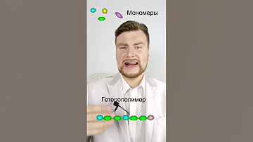 Что такое полимеры? ЕГЭ Биология. ЕГЭ 2021.
