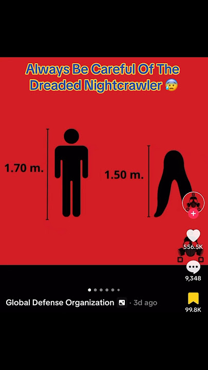 Always Be Careful Of The Dreaded Nightcrawler 😰 #creepy