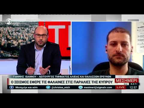 Βρέθηκαν φάλαινες σε παραλία της Αργάκας