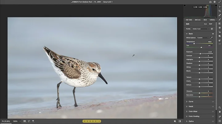 A Raw Conversion with Arthur Morris/BIRDS AS ART