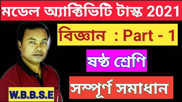 Class 6 Science model activity task Part1 / Model Activity Task Class 6 Science Part 1