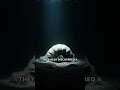 Scientists Found Animals That Shouldn't Exist Yet