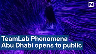 TeamLab Phenomena Abu Dhabi opens to the public