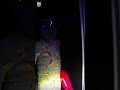 POV: You’re Dispatched to a "Monster" Emergency