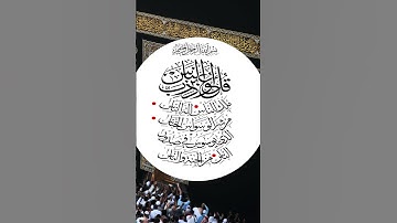 سورة الناس   Aloyoon Al Koshi  الشيخ : العيون الكوشي