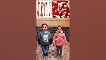 لو خيروك أكل حقيقي ضد جيلاتين رقيه غلطت واختارت Shorts 