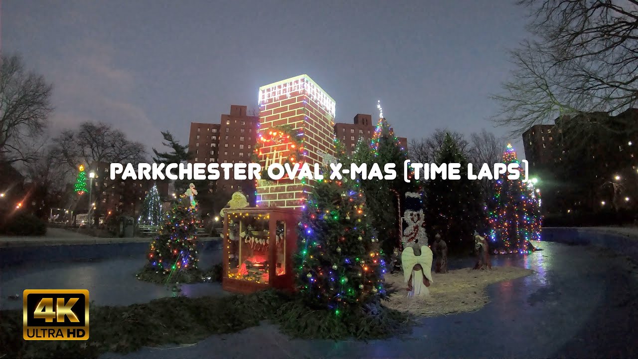 parkchester x mas tree(time lapse)christmastrees timelapsevideos 