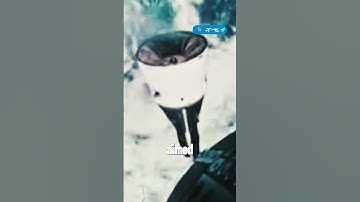 GEMINI 6 and 7: The First Space Rendezvous