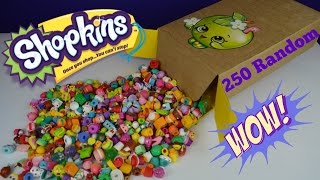 GIVEAWAY!! Mega Large Random Lot Of 250 Shopkins Season 4 & 3 | Toys AndMe