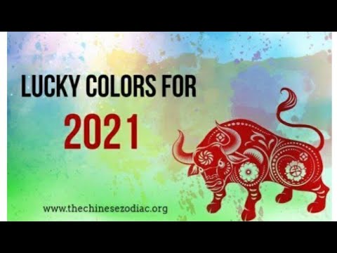 Video: Year Of The Rat: What Color To Paint To Attract Good Luck