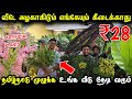 வீடே அழகாகிடும் எங்கேயும் கிடைக்காது | Artificial Plants for home | Home decor plants