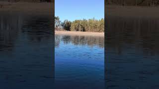 А это ещё летняя рыбалка или уже подлёдная? ))) #карелия #рыбалка #karelia #fishing #спиннинг