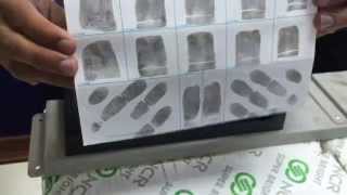 How to Roll Ink Fingerprints