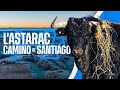 GANADERIA CAMINO DE SANTIAGO | ASTARAC - Frío y Seriedad en el Cantaou