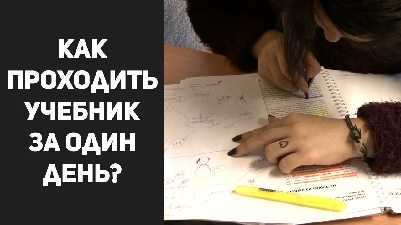 Учебник он или она. Психология учебник. Учебник он или она. Как выучить учебник за 1 день. Учебник.