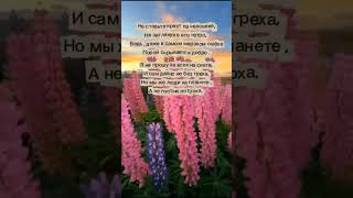 Спасибо за просмотр♥️#любовь #стихиожизни #стихи #стихотворение #стихиолюбви
