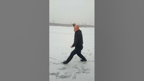 形意拳 蛇形 Xing Yi Quan Snake animal