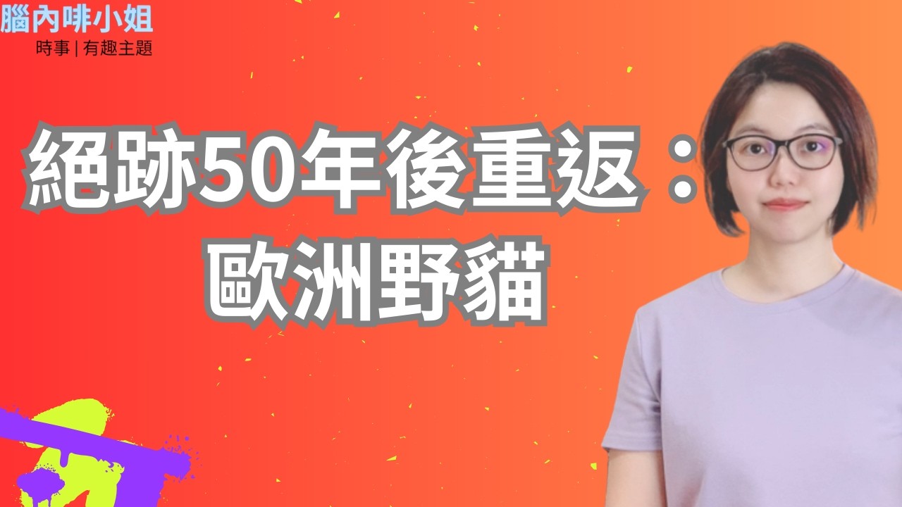 絕跡50年後重返：歐洲野貓 EP.137 | 腦內啡小姐 Ms.Endorphin #歐洲野貓