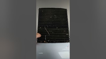 Never do this! #youtubeshorts #fail #bad #gross #learning #trending #filter