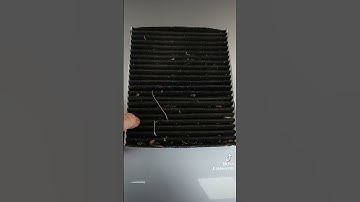 Never do this! #youtubeshorts #fail #bad #gross #learning #trending #filter