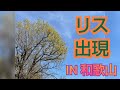 【和歌山】山頂のこの景色を見よ！