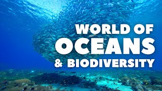 The complex World of Oceans and Its Biodiversity