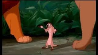 Timon: And... everybody's okay with this?  Did I miss something!?