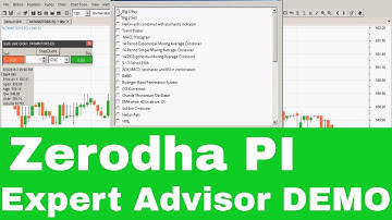 Zerodha Pi Expert Advisor : Learn how to use it.