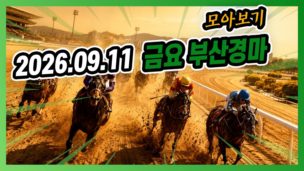 2026년 9월 11일 금요 부산경마 전체경주 모아보기