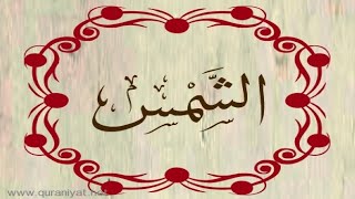 الشيخ توفيق الصائغ - سورة الشمس