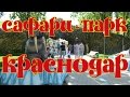 Сафари-парк в Краснодаре