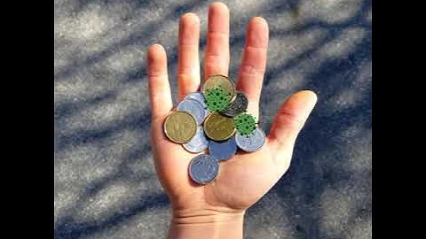 Cart boss - Shop Faster!