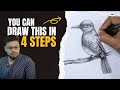 Easy bird drawing tutorial for beginners