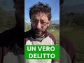 Un DELITTO nel vigneto. Adesso basta. #shorts